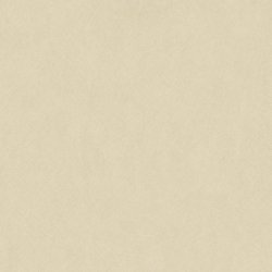 Papel Pintado Nest 201001414