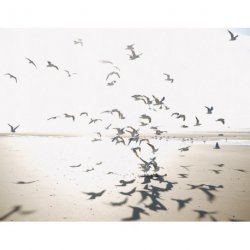 Mural Panor&aacute;mico Seaside 201531012