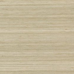 Papel Pintado Tribus RM107003