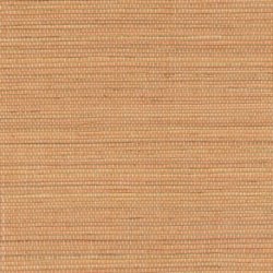 Papel Pintado Tribus RM107011