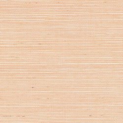 Papel Pintado Tribus RM107350