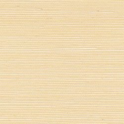 Papel Pintado Maestria RM107391