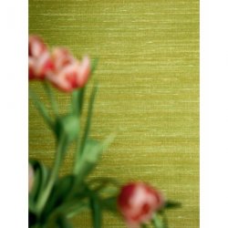 Decoraci&oacute;n con Papel Pintado Elixir de Soies VP92863