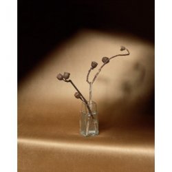 Decoraci&oacute;n con Papel Pintado Velatura RM108767