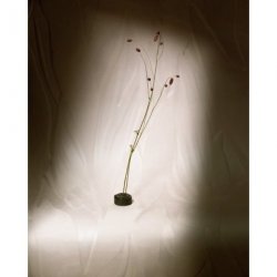 Decoraci&oacute;n con Papel Pintado Velatura RM109903