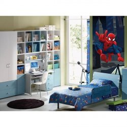 Decoraci&oacute;n con Fotomural Spider On The Roof Ftdv-1815