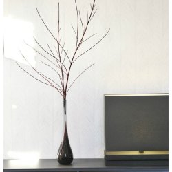 Decoraci&oacute;n con Papel Pintado Monsoon 75404ITAYA