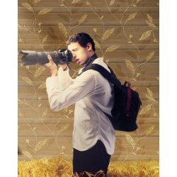 Decoraci&oacute;n con Papel Pintado Linpha 9905