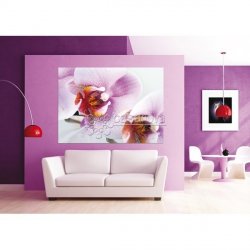 Decoraci&oacute;n con Fotomural PINK ORCHID-2867