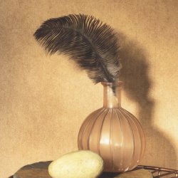 Decoraci&oacute;n con Papel Pintado Innocence 27596618