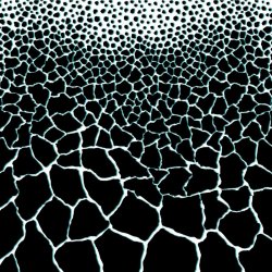 Panel decorativo de papel pintado Cavalli No5 RC16227