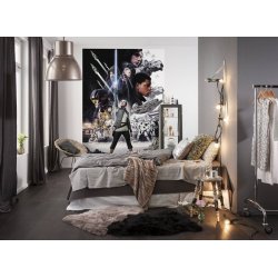 Decoraci&oacute;n con Fotomural Star Wars Balance 4-496