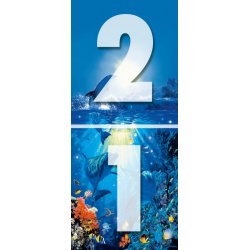 Decoraci&oacute;n con Dolphin In The Sun