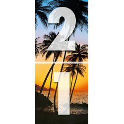 Decoraci&oacute;n con Sunny Palms