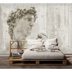 Decoraci&oacute;n con Fotomural David Street Art 00970