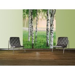 Decoraci&oacute;n con Fotomural Nordic Forest 00381