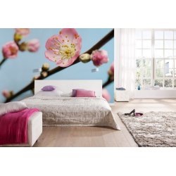 Decoraci&oacute;n con Fotomural Peach Blossom