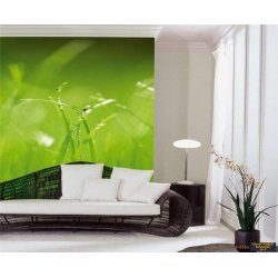 Decoraci&oacute;n con Fotomural Green 8-886