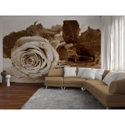 Decoraci&oacute;n con Fotomural Black And White Rose FT-0086