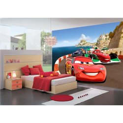 Decoraci&oacute;n con Fotomural Cars 2 Race FTD-0255