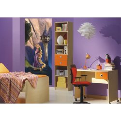 Decoraci&oacute;n con Fotomural Rapunzel And Castle FTD-0232