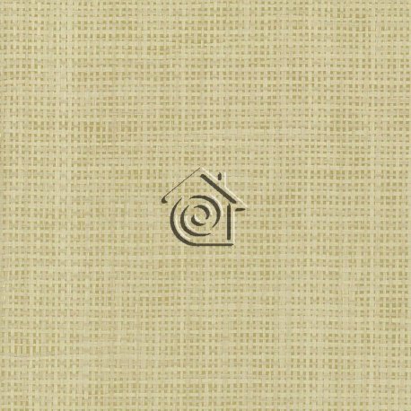 Papel Pintado Grasscloth II VG4425