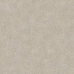 Papel Pintado Woods 26211204