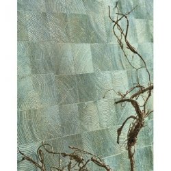 Decoraci&oacute;n con Papel Pintado Woods 86017212