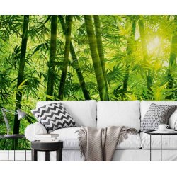 Decoraci&oacute;n con Fotomural Bamboo Forest CW15403-8