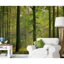 Decoraci&oacute;n con Fotomural Autumn Forest CW15419-8