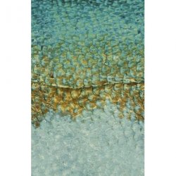 Mural Panor&aacute;mico Leathers 87217122