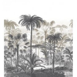 Mural Panor&aacute;mico Nicaragua 86451377