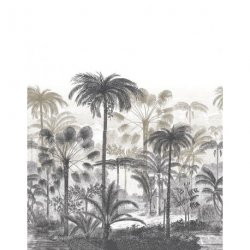 Mural Panor&aacute;mico Nicaragua 86461377