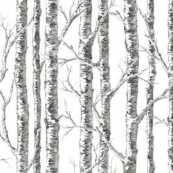 Papel Pintado Black & White BW3902