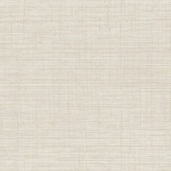 Papel Pintado JV800 Tierra 6650