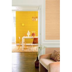 Decoraci&oacute;n con Papel Pintado Soie Changeante VP92811