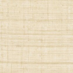 Papel Pintado Matieres Vegetales VP98304