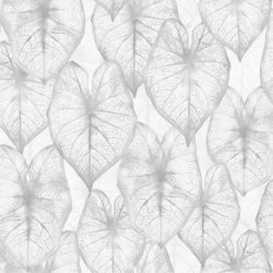 Papel Pintado Amazonia II 2936