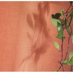 Decoraci&oacute;n con Papel Pintado Les Mini Mondes 100604313