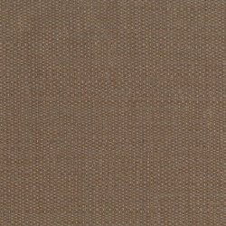 Papel Pintado Forest 50150